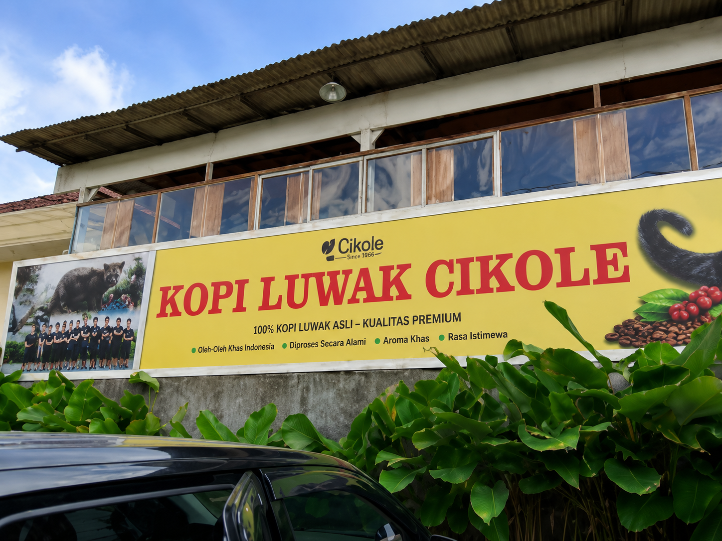 Kopi Luwak Cikole